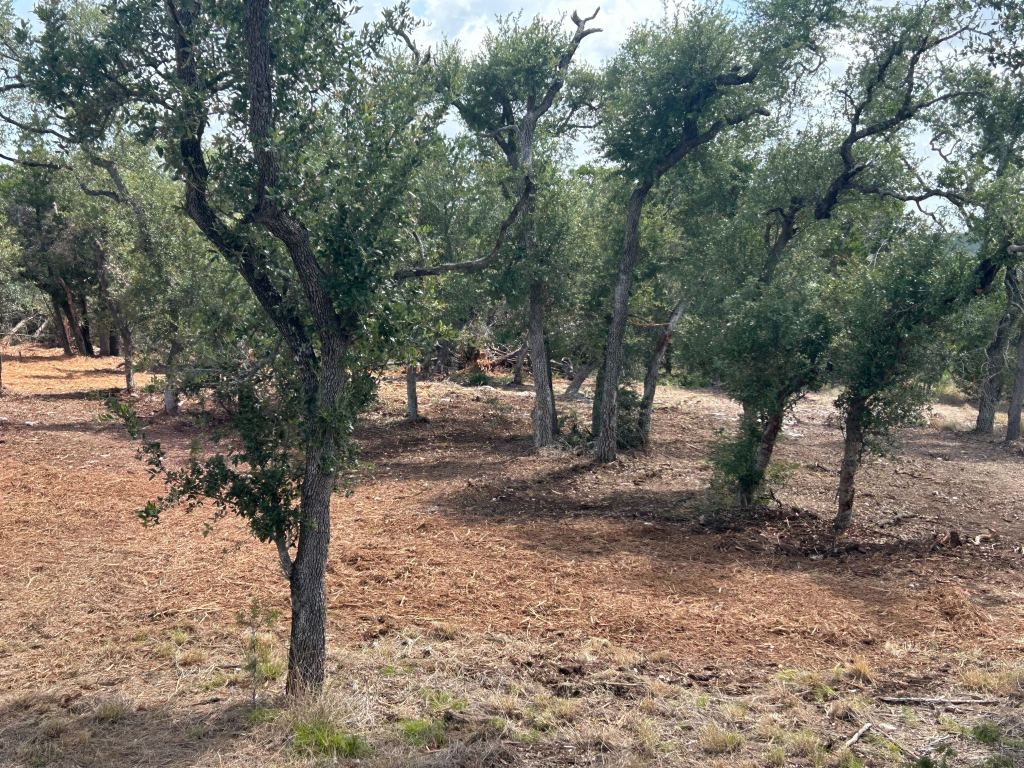 Piles mulched and finished near Wimberley TX