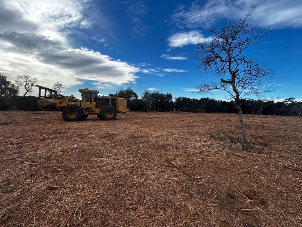 Forestry mulcher at sunset on a Dripping Springs TX job