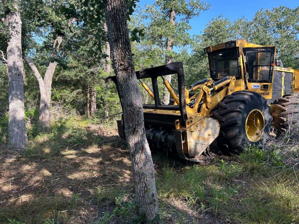 Forestry mulcher working beside oaks near Caldwell TX