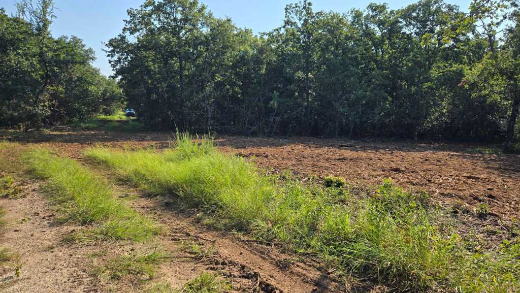 Mulcher grinding storm damage on ranch country near Jonesboro TX
