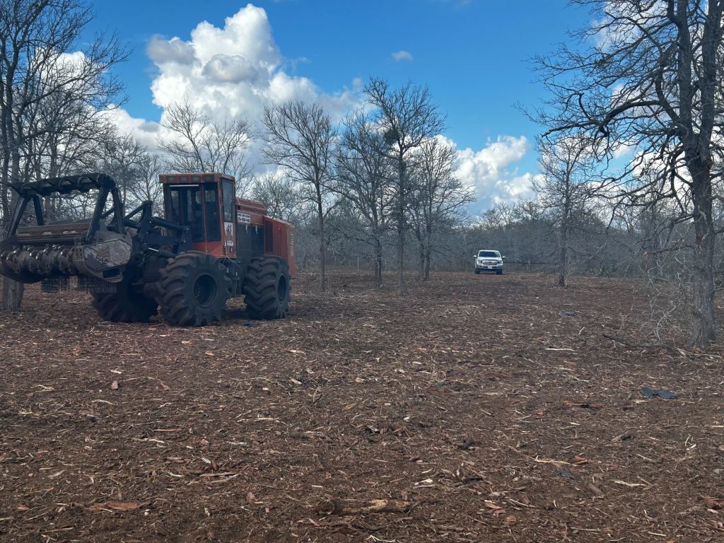 Mulcher working through big mesquite in Gonzales TX