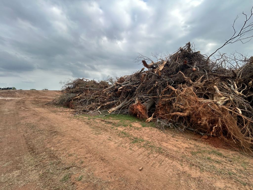 Mulcher working through brush piles near Valley Mills TX