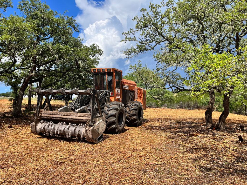 Forestry mulcher clearing brush under oaks near Boerne TX