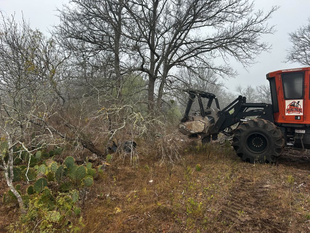 Forestry mulcher working under oaks in Gonzales County near Cuero TX