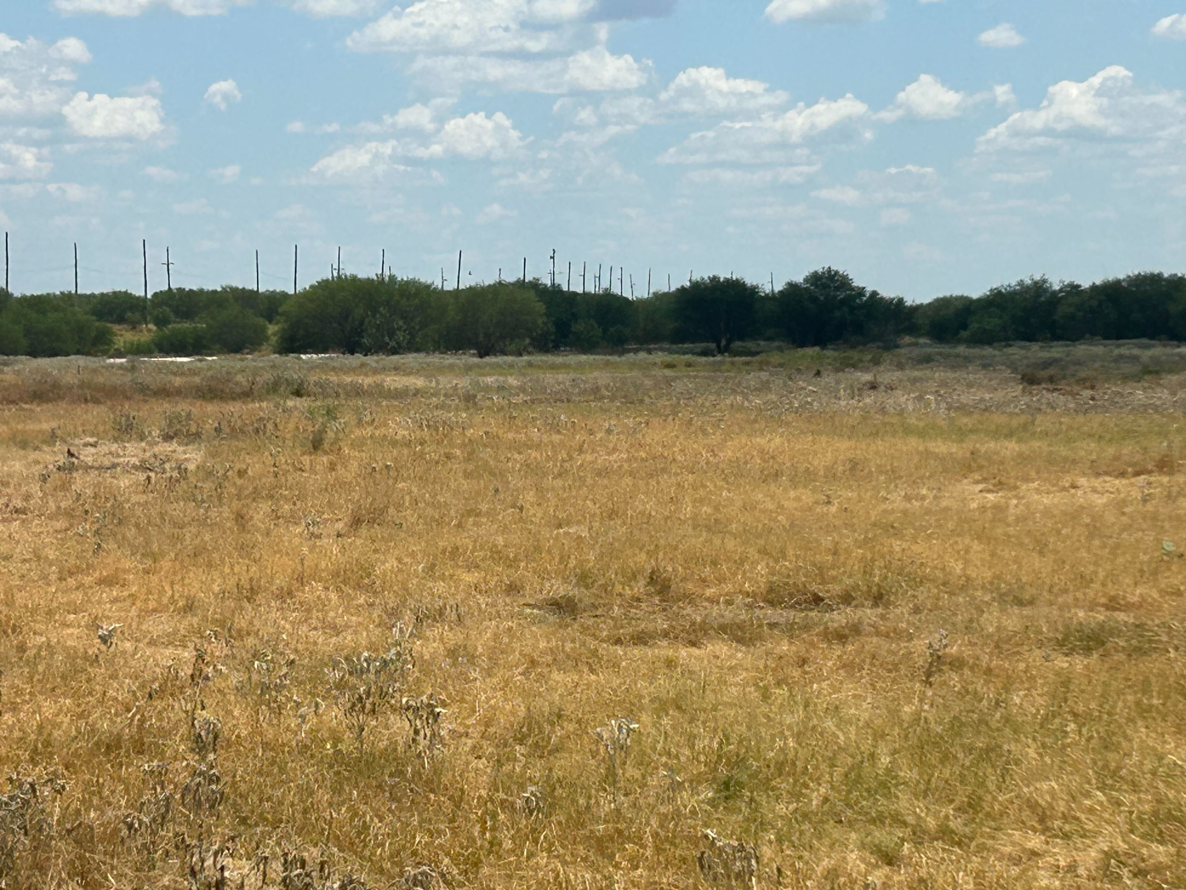 Mulching acreage with dozer support near Meridian TX