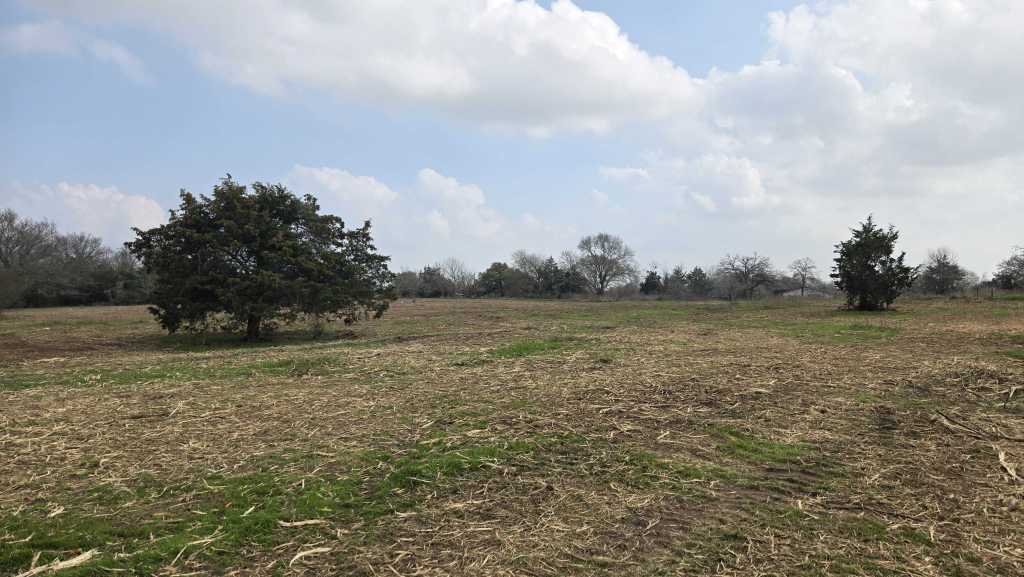Open pasture after brush clearing near Briggs TX