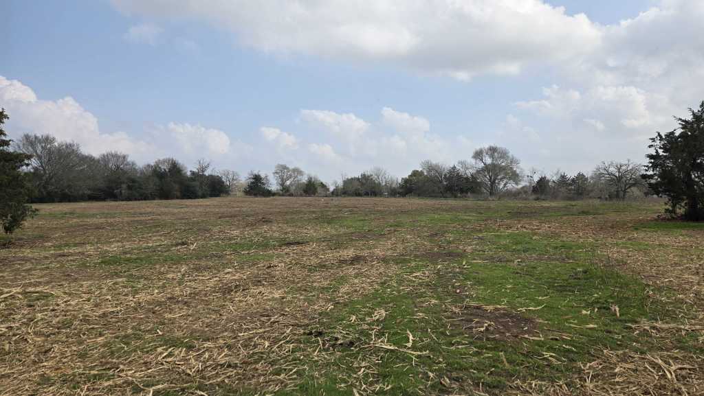 Overgrown fence line before clearing near Giddings TX