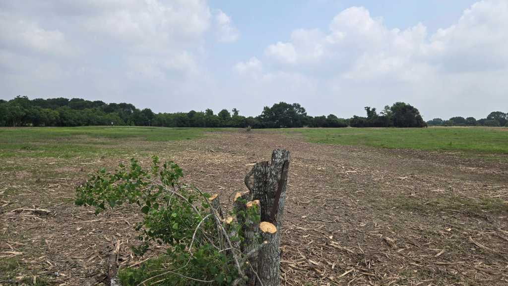 Field turned back into mulched pasture near Giddings TX