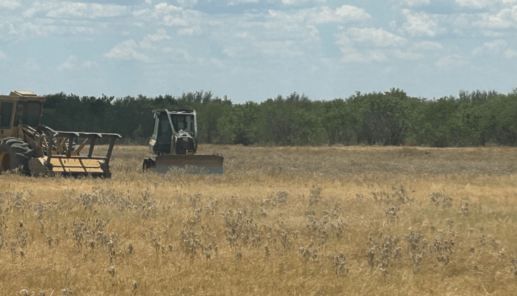 land clearing in San Antonio TX