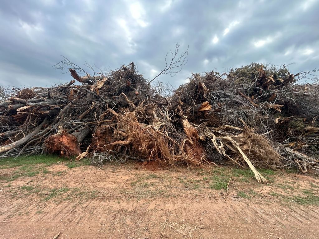 Piles ground to mulch near Valley Mills TX