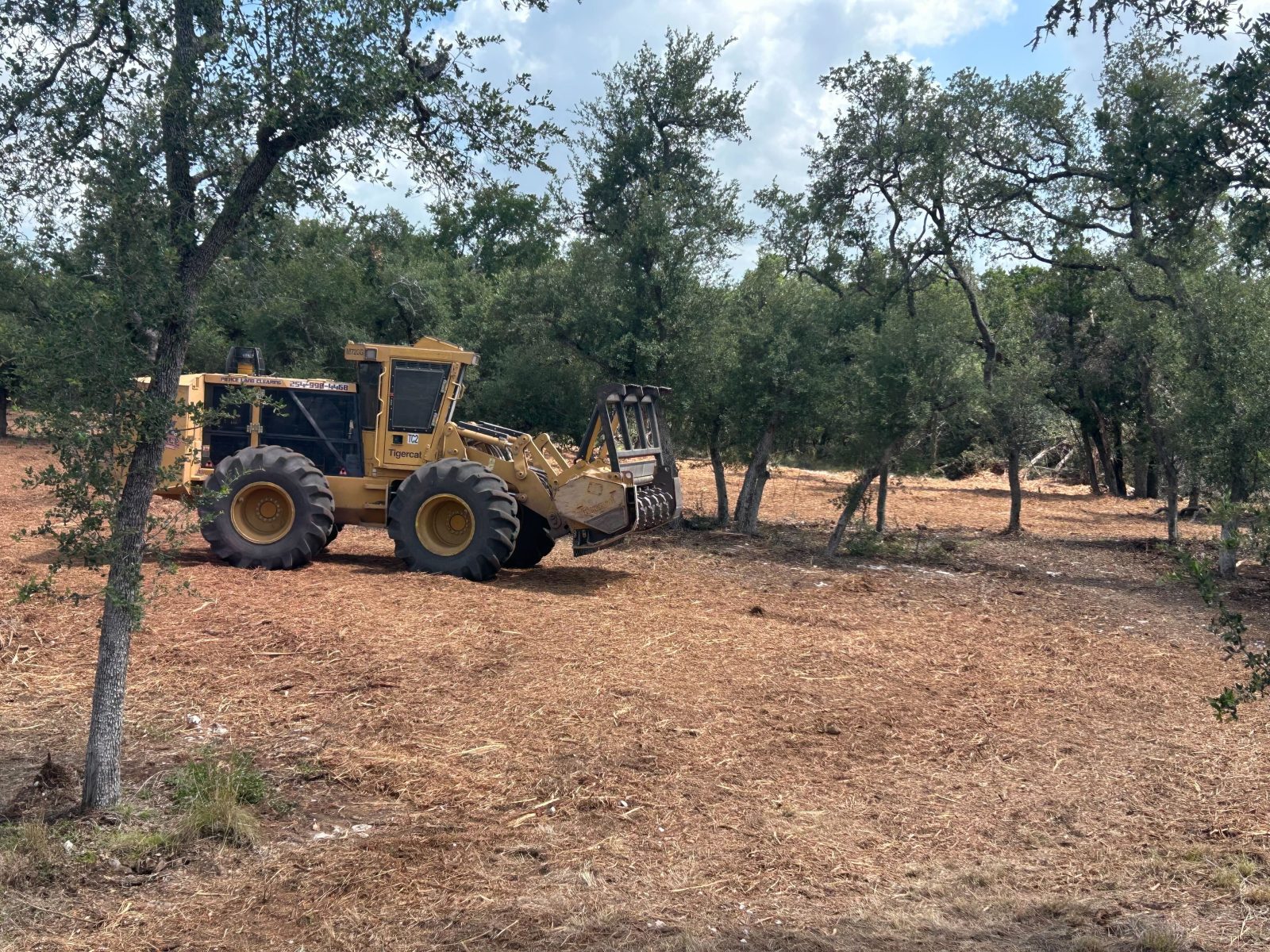Tigercat M726G forestry mulcher selectively clearing cedar on 8 acres in San Marcos Texas