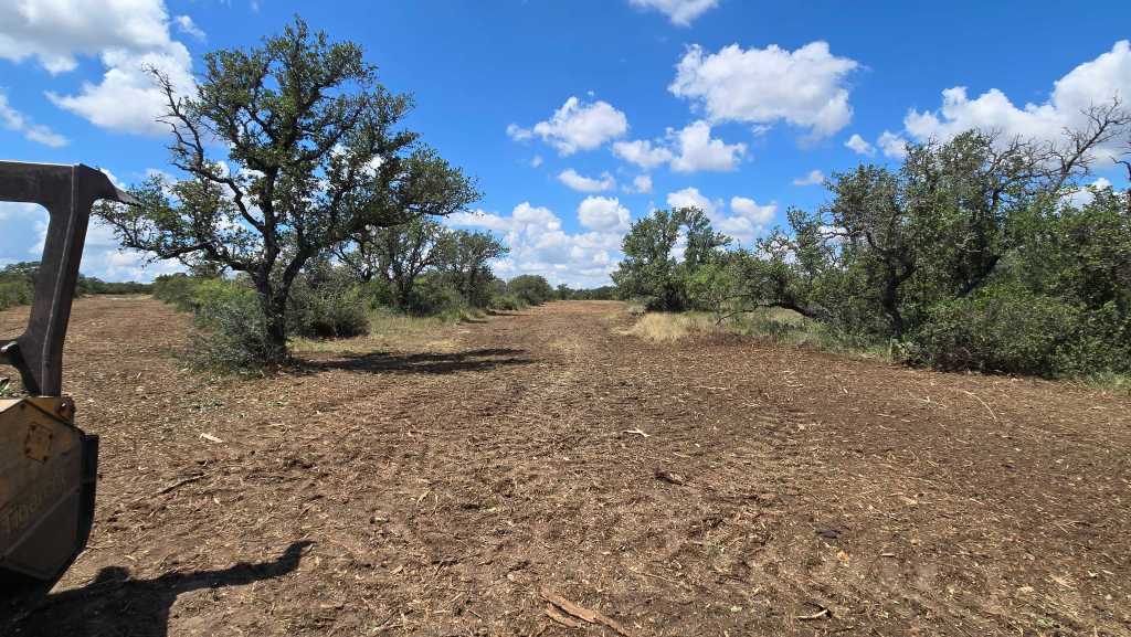 Fresh sendero cut through mesquite brush near Brady TX