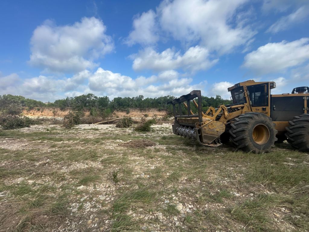 Storm damaged bottomland before clearing near Thorndale TX