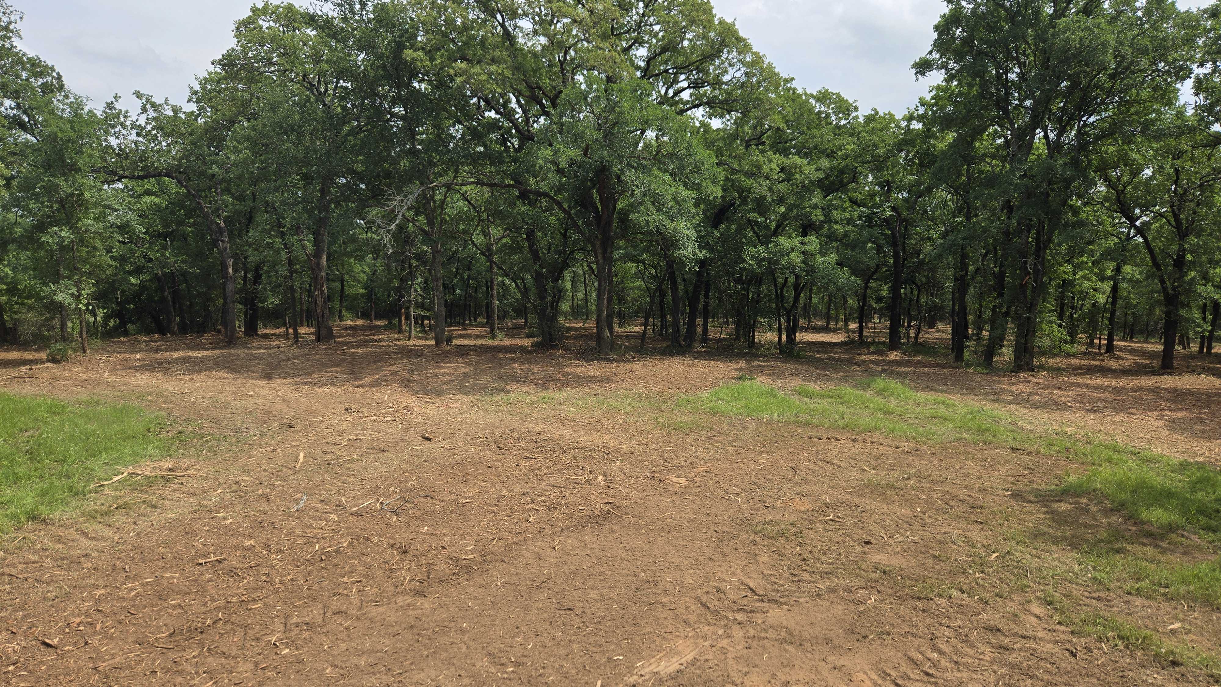 Thinned acreage opened back up near Hamilton TX