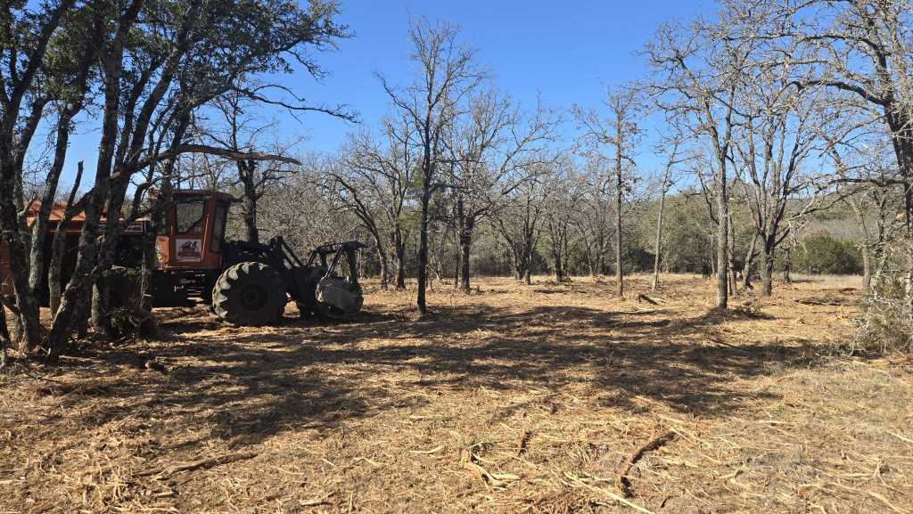 Cedar and underbrush removal near Decatur TX