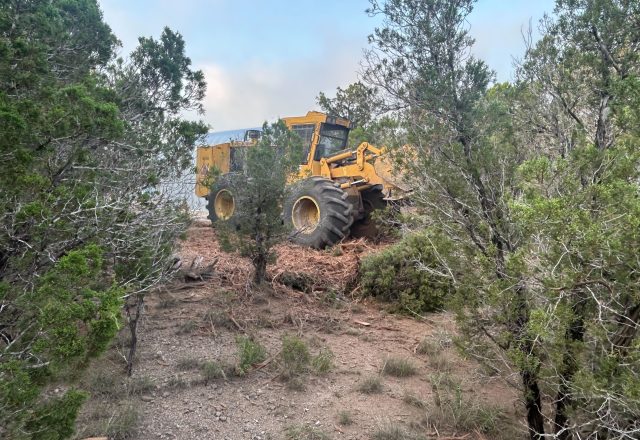 Hill Country property opened up after clearing near Johnson City TX