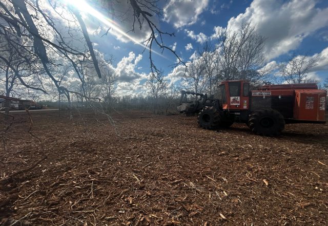 Cleared brush country pasture near Cuero TX