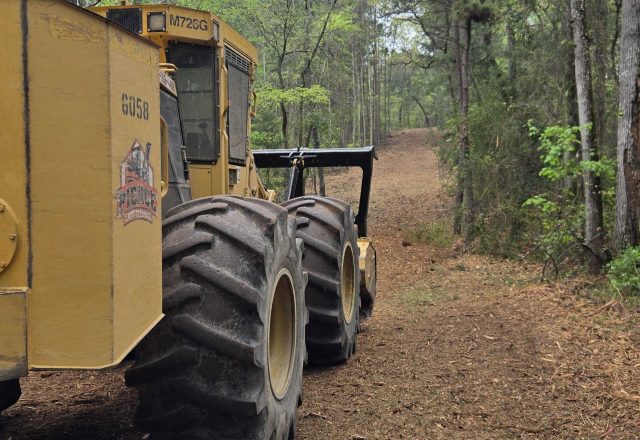 fence line clearing rusk tx Fence line clearing through East Texas pine at Rusk Texas