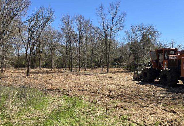 Finished clearing on small acreage in Elgin TX