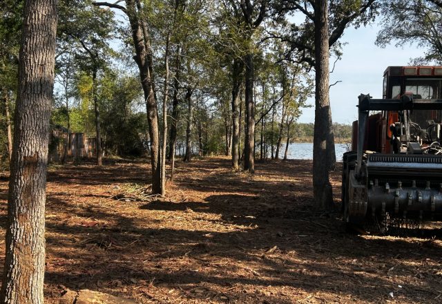 forestry mulcher lost pines bastrop county Forestry mulcher working the Lost Pines country near Cedar Creek TX