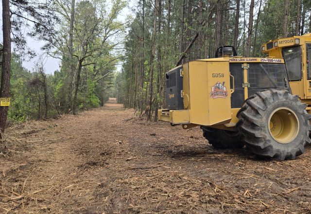 forestry mulcher pine corridor east texas Forestry mulcher clearing a pine corridor in east Texas pine country like Conroe TX