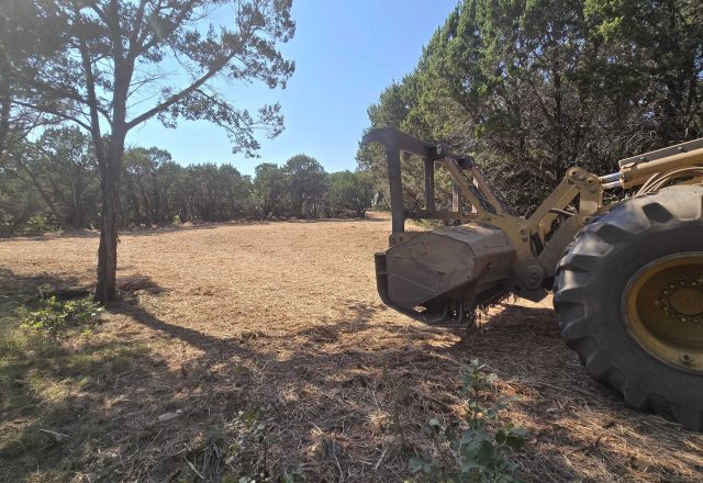 Forestry mulcher working through cedar near Granbury TX
